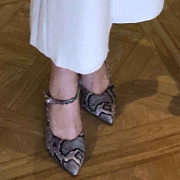 Snake print - Picture 6 of 6